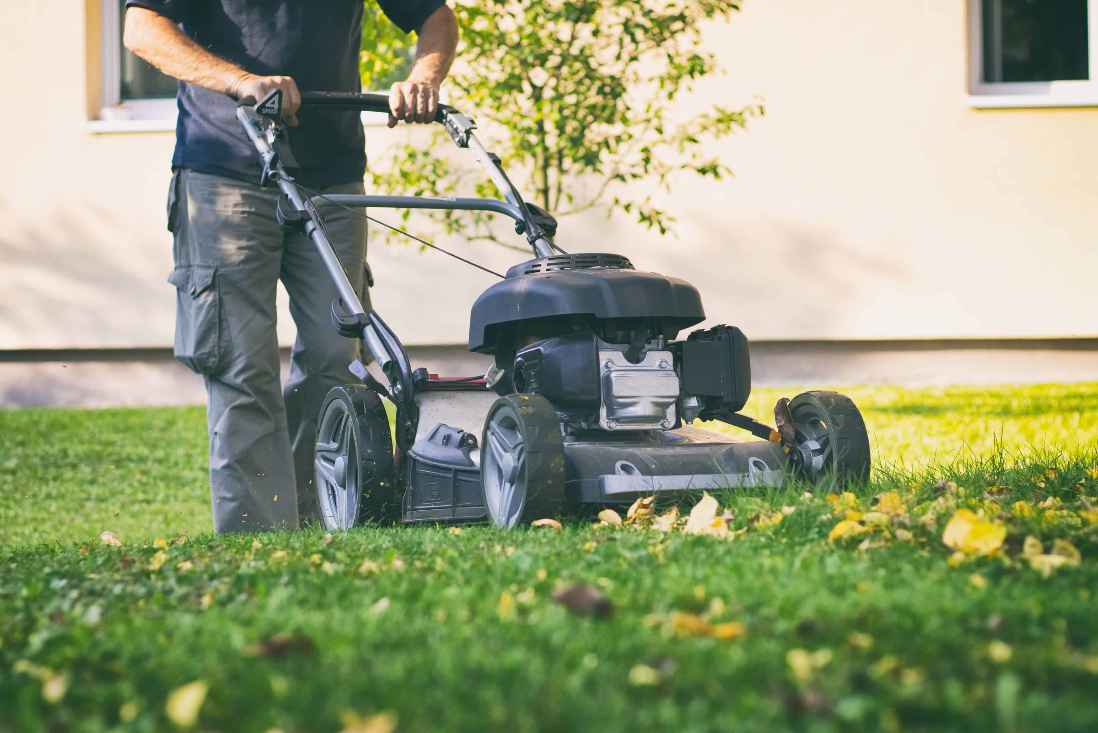 Lawn Maintenance image