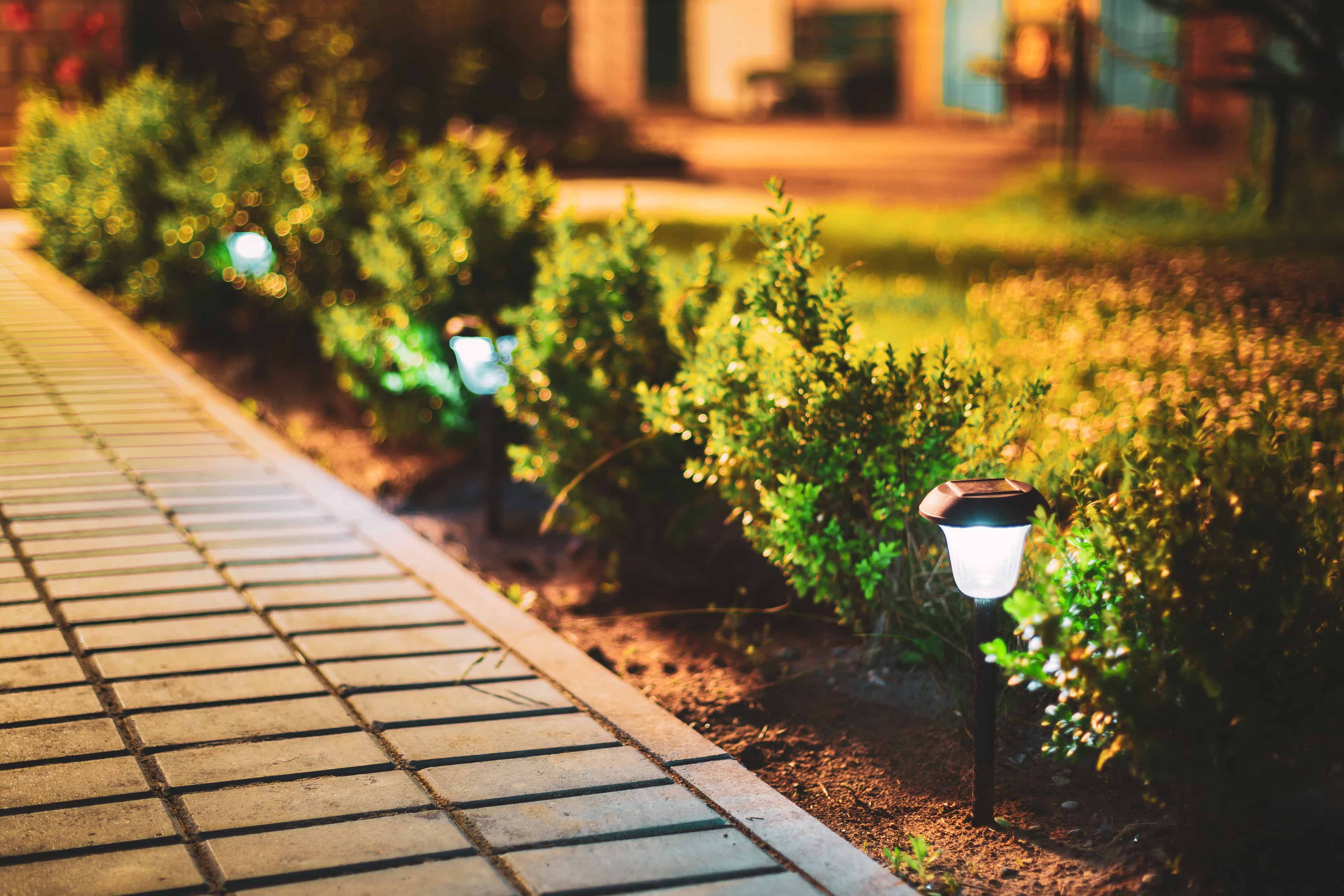 Planting Services image