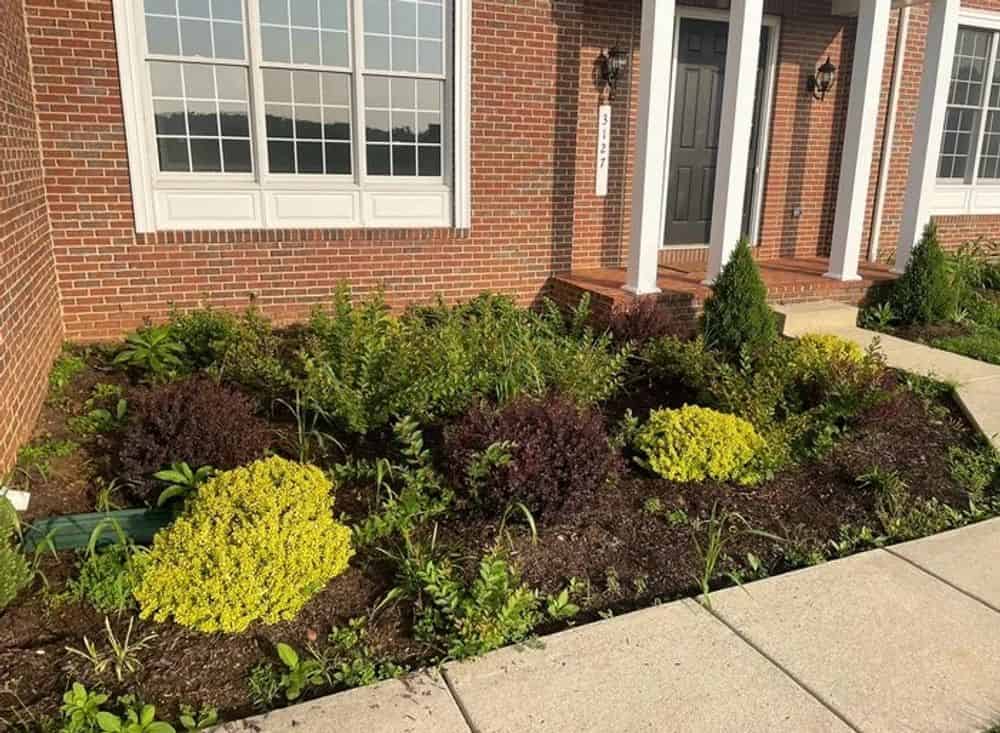 Landscape Design & Installation image