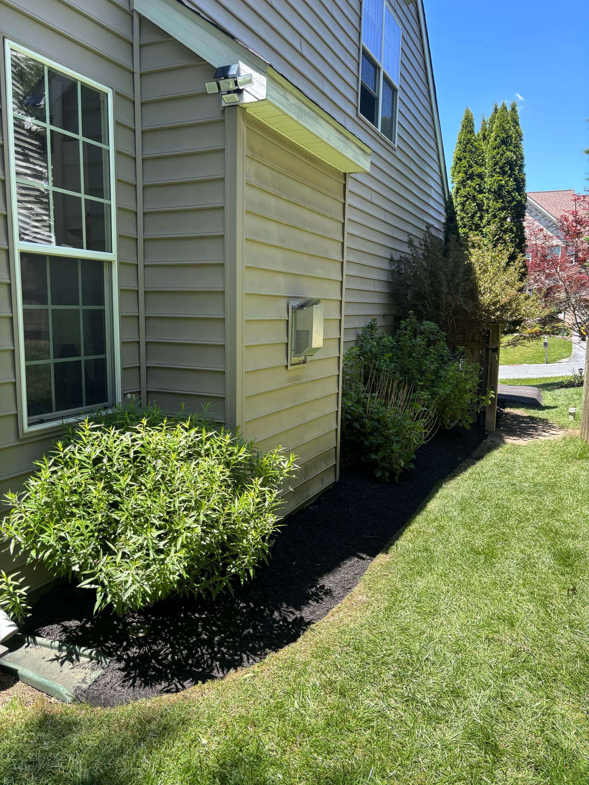 Gallery photos for Fresh Mulch and Full Property Cleanup Done Right: Image #4