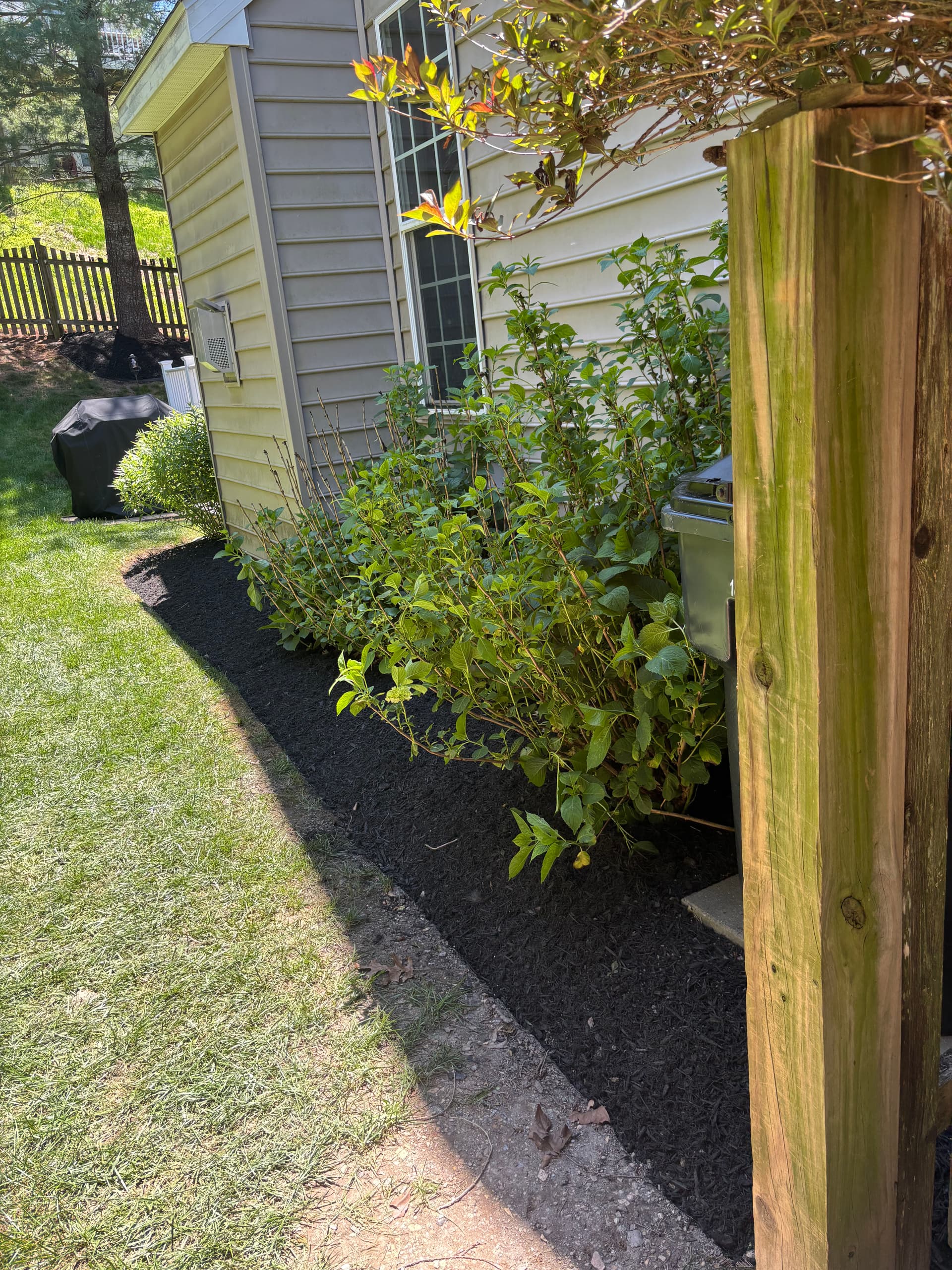 Gallery photos for Fresh Mulch and Full Property Cleanup Done Right: Image #6