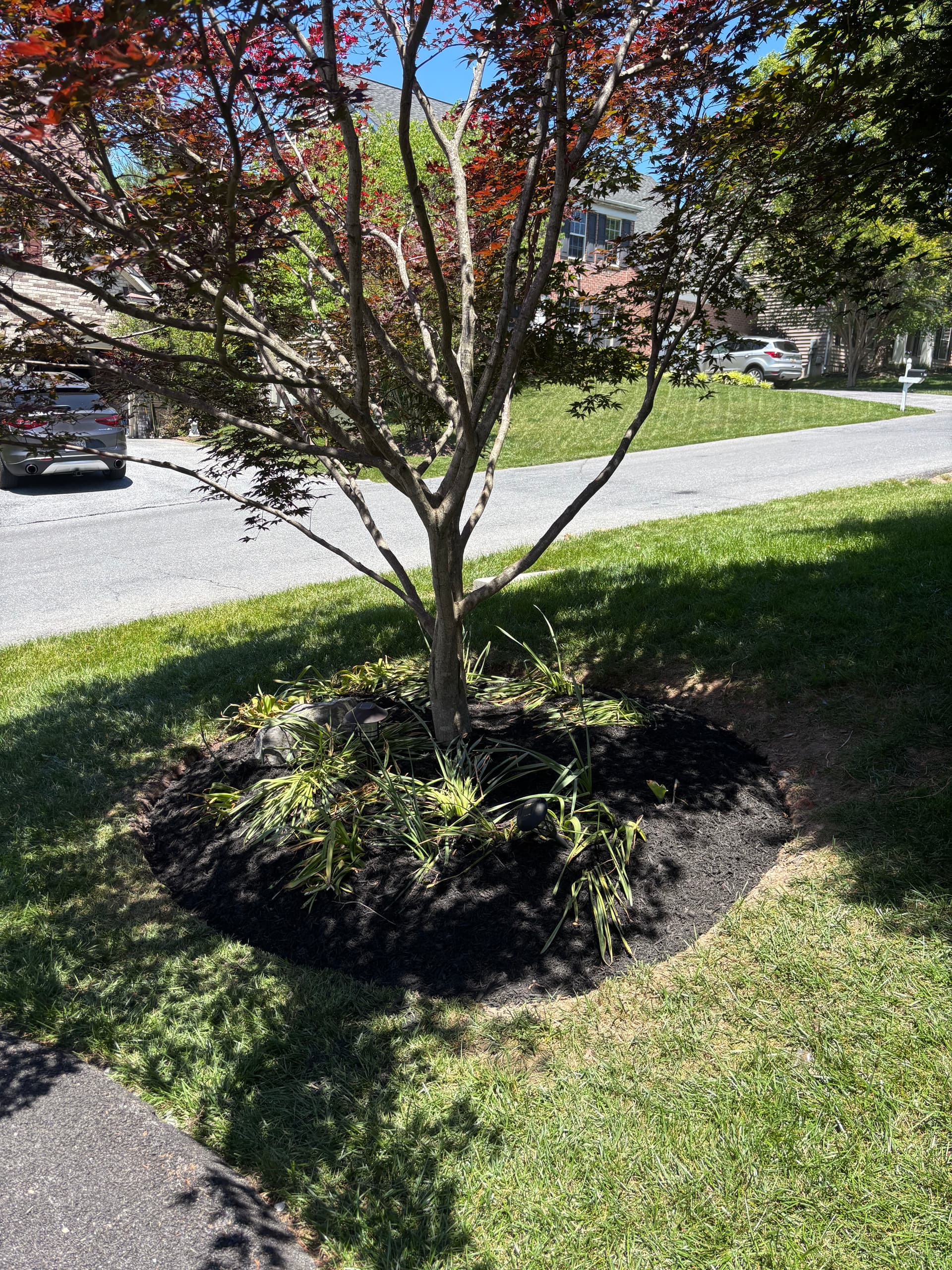 Gallery photos for Fresh Mulch and Full Property Cleanup Done Right: Image #3
